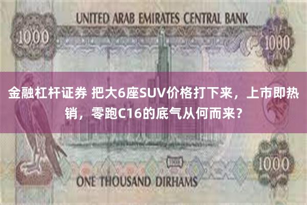 金融杠杆证券 把大6座SUV价格打下来，上市即热销，零跑C16的底气从何而来？