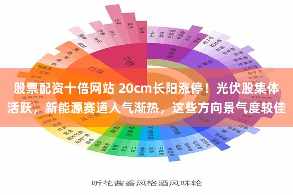 股票配资十倍网站 20cm长阳涨停！光伏股集体活跃，新能源赛道人气渐热，这些方向景气度较佳