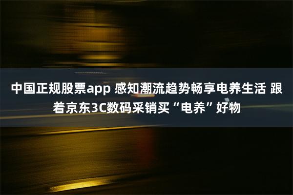 中国正规股票app 感知潮流趋势畅享电养生活 跟着京东3C数码采销买“电养”好物