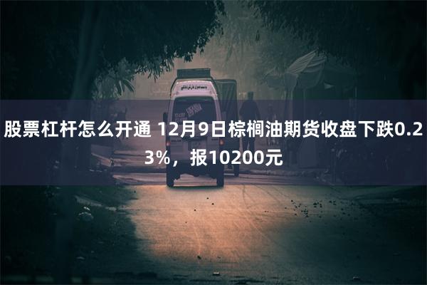 股票杠杆怎么开通 12月9日棕榈油期货收盘下跌0.23%，报10200元